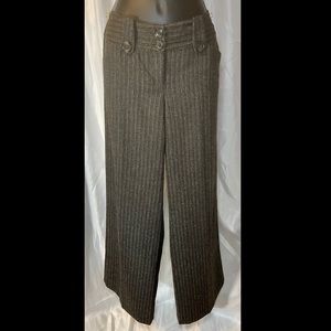 Express Design Studio Editor Pants